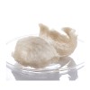 Superior Crystal Bird's Nest (5 Stars) 150g